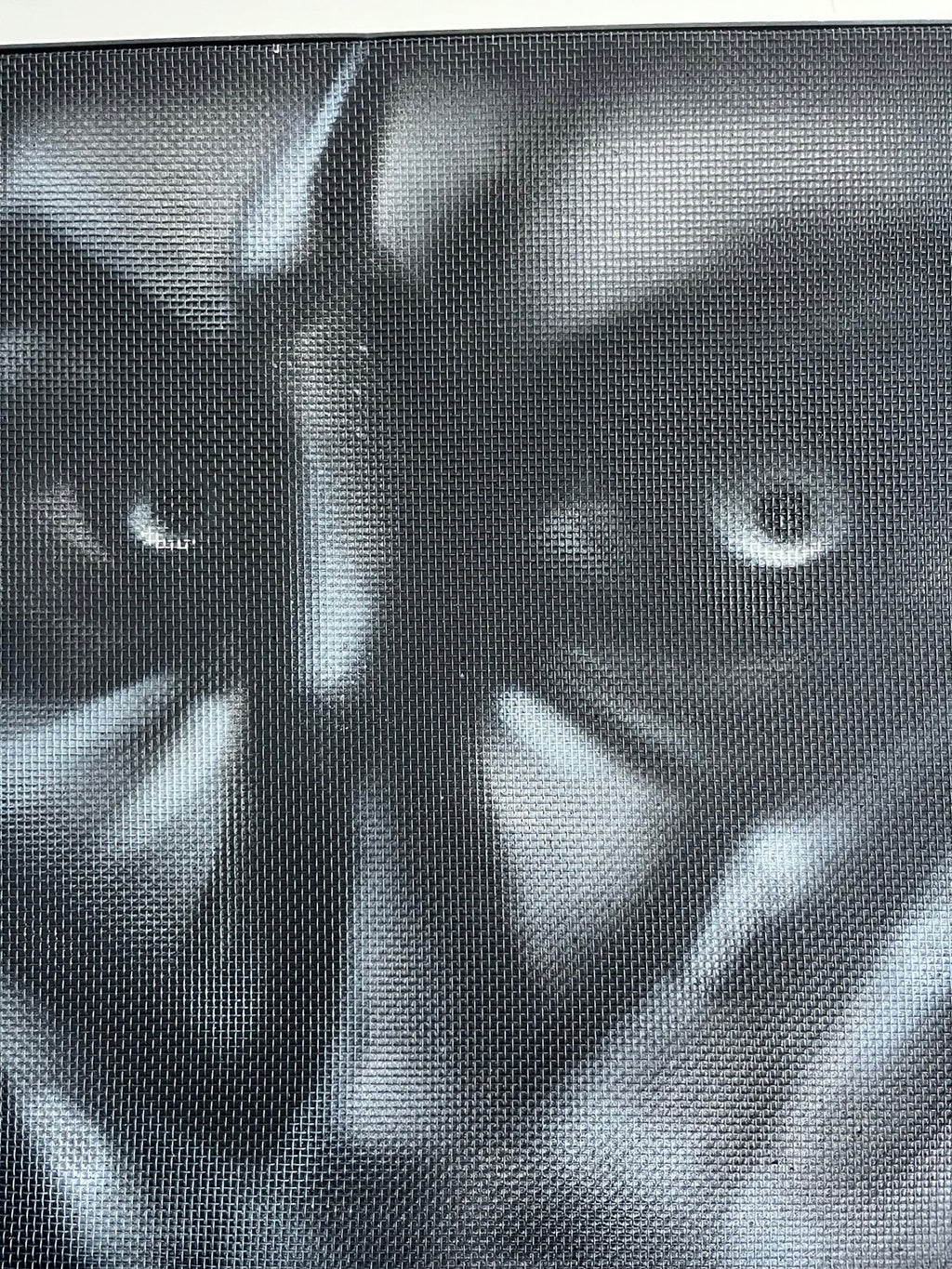 CAGED by HEEM — close detail showing the layered spray paint and mesh surface
